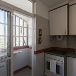 Flh Graca Apartment With View