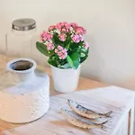 Alfama Charming Apt With 2 Free Bikes By Timecooler