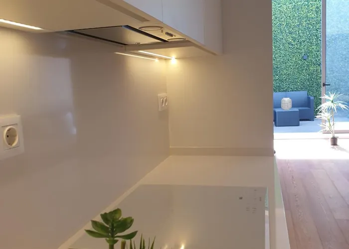Oasis 28
