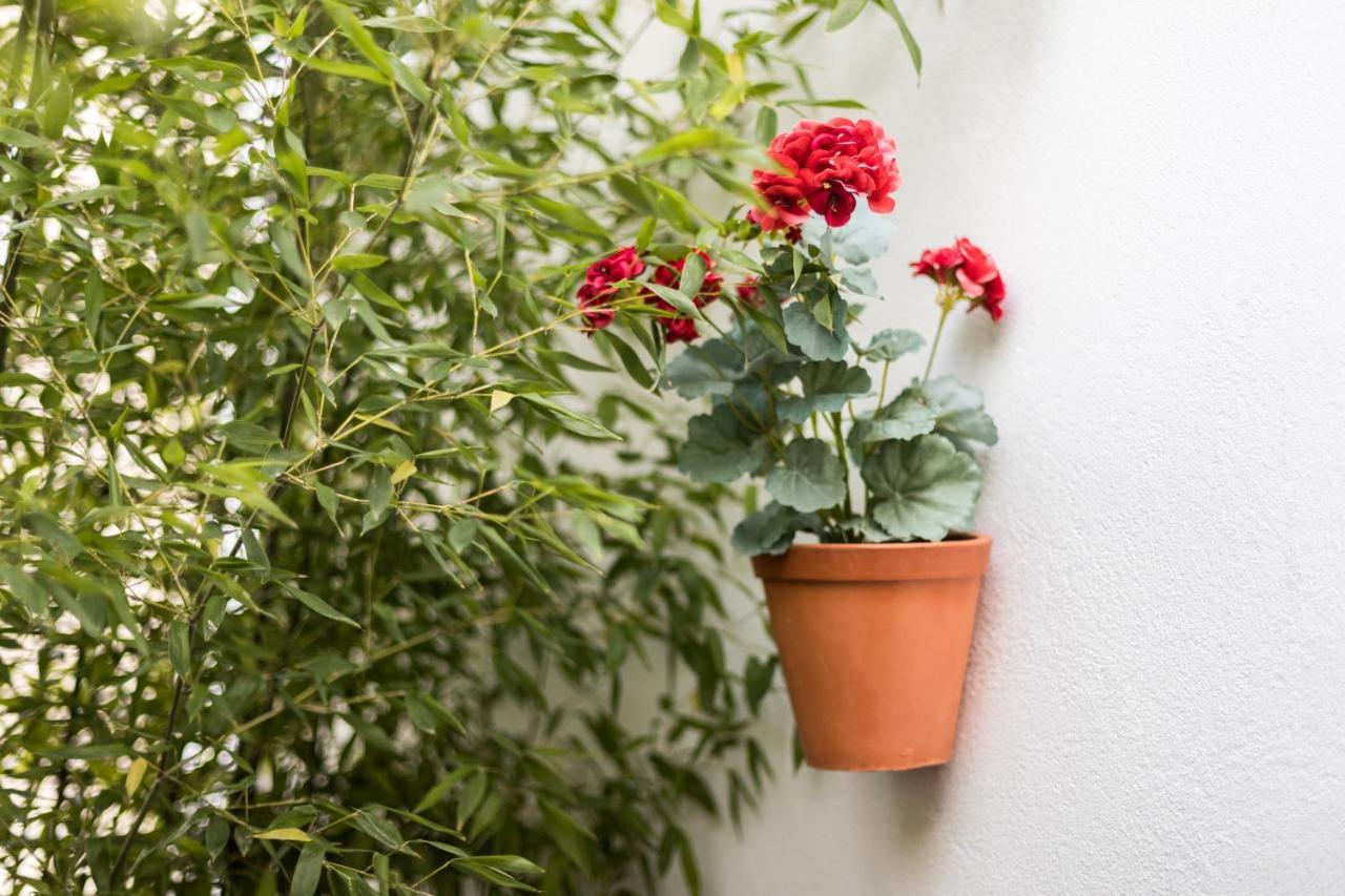 Alfama Design Lissabon