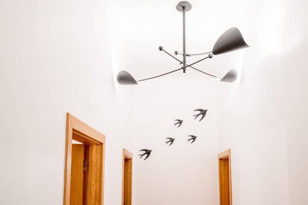 Beautiful Near The Center Of Appartement
