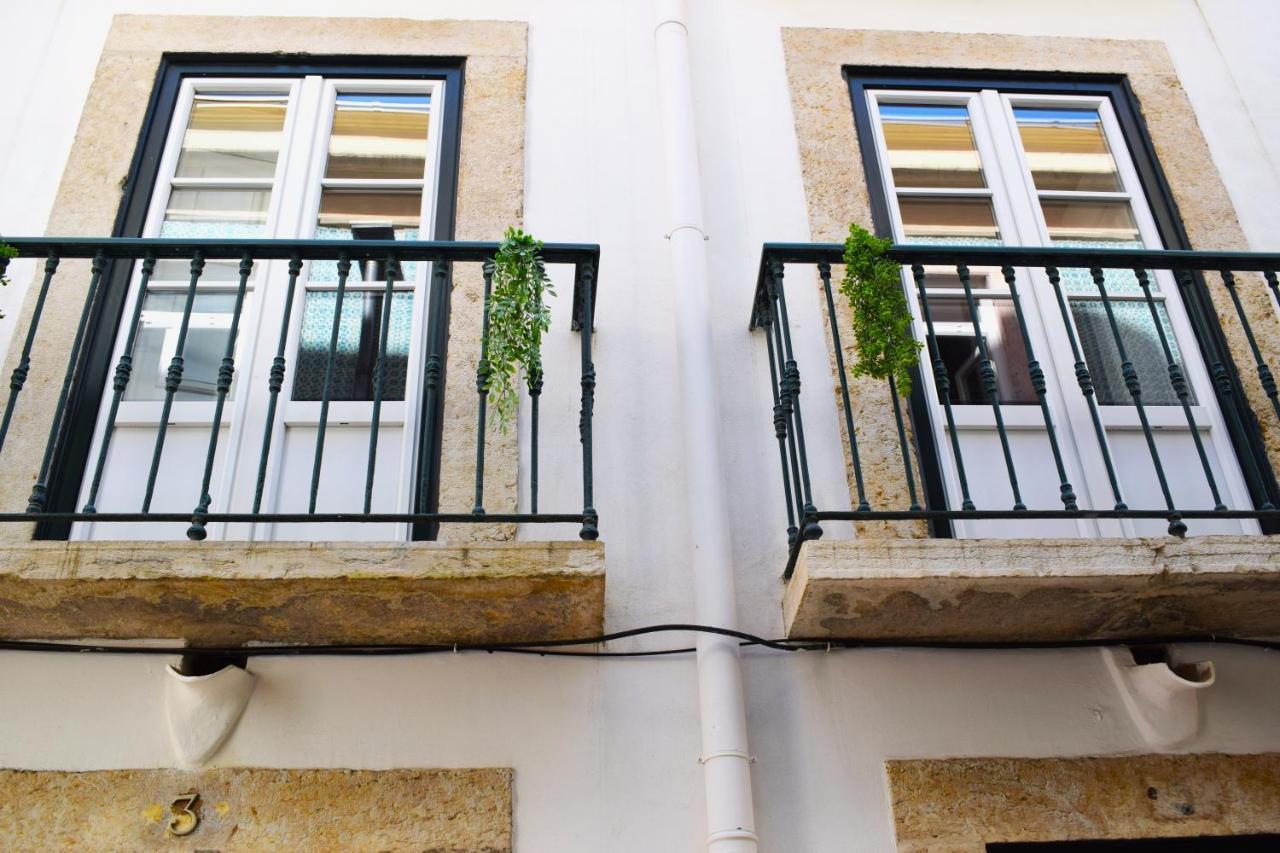 Appartement Colmeia