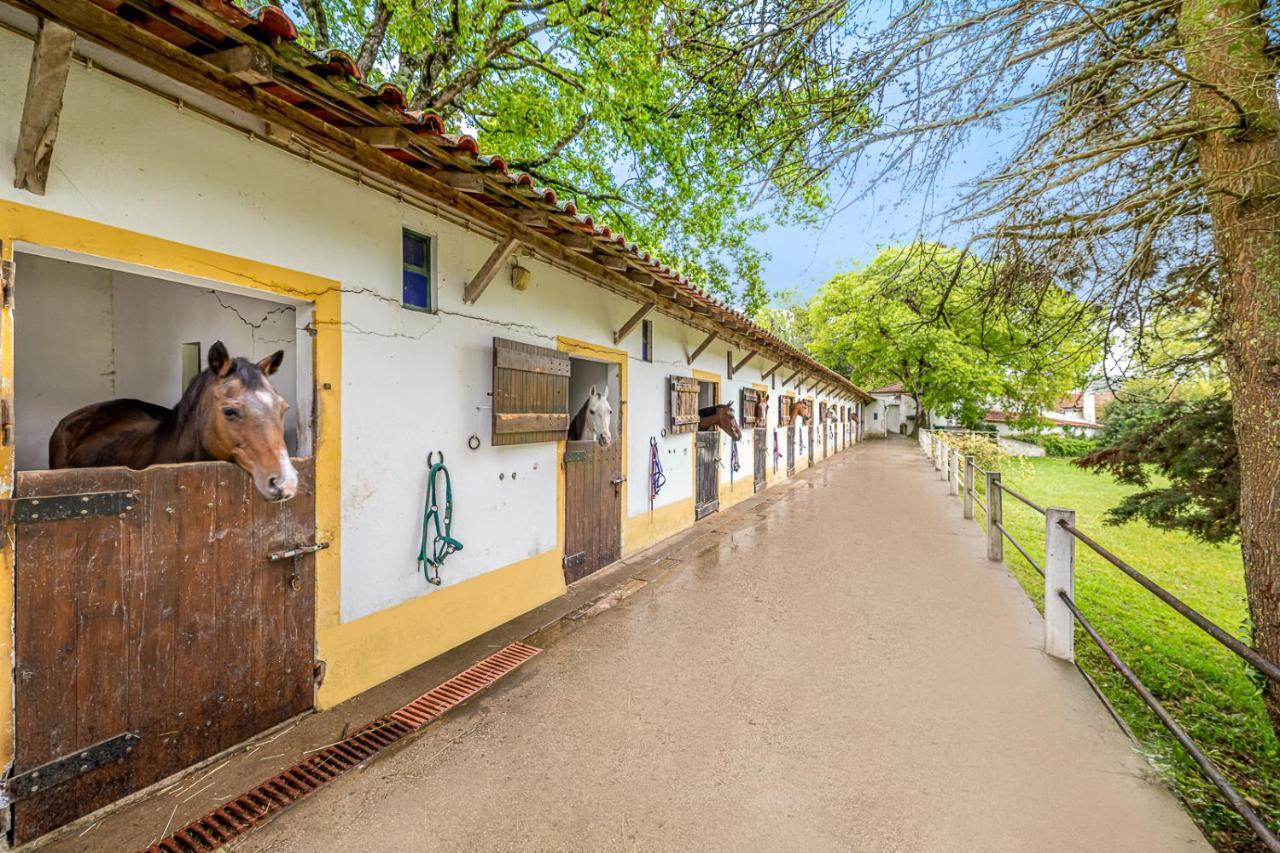 Quinta Do Boicao * Lissabon