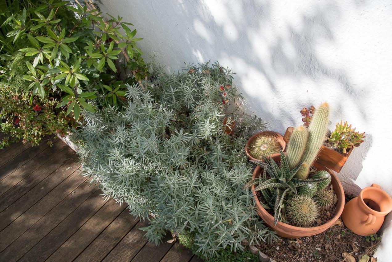 Apartment Flat With A Garden In Belem