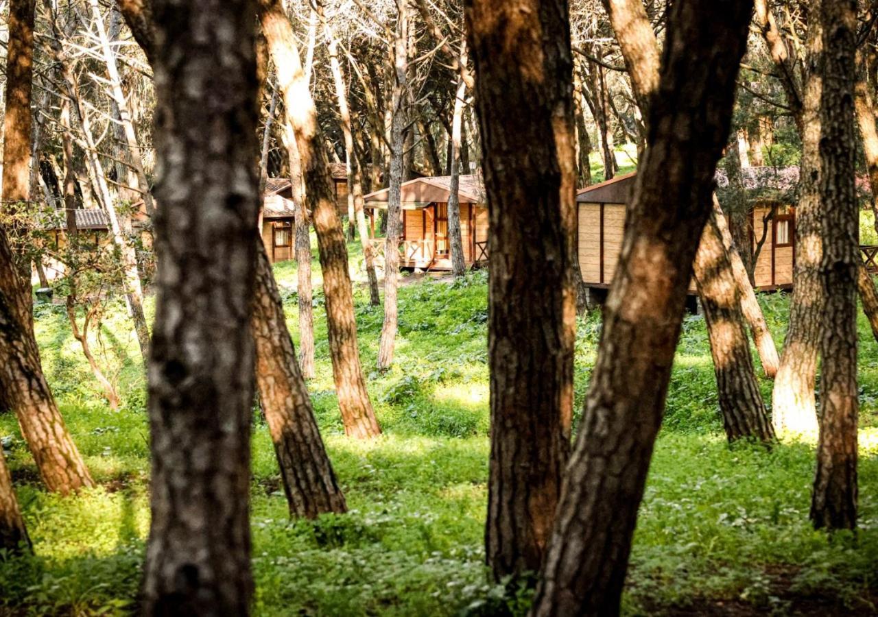 Lisboa Bungalows Campingplatz 4*