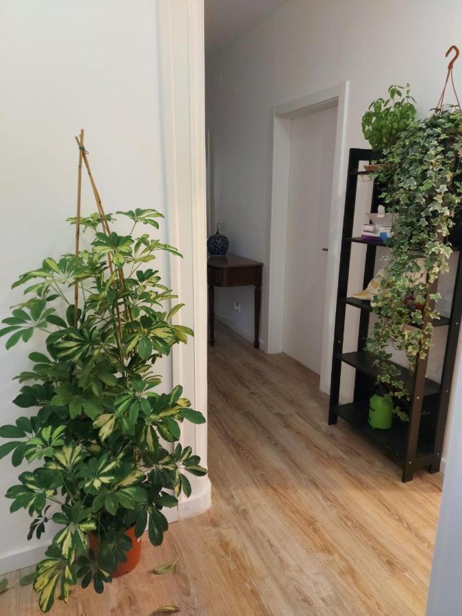 Hostel D&n Hospedagem-almirante Lissabon
