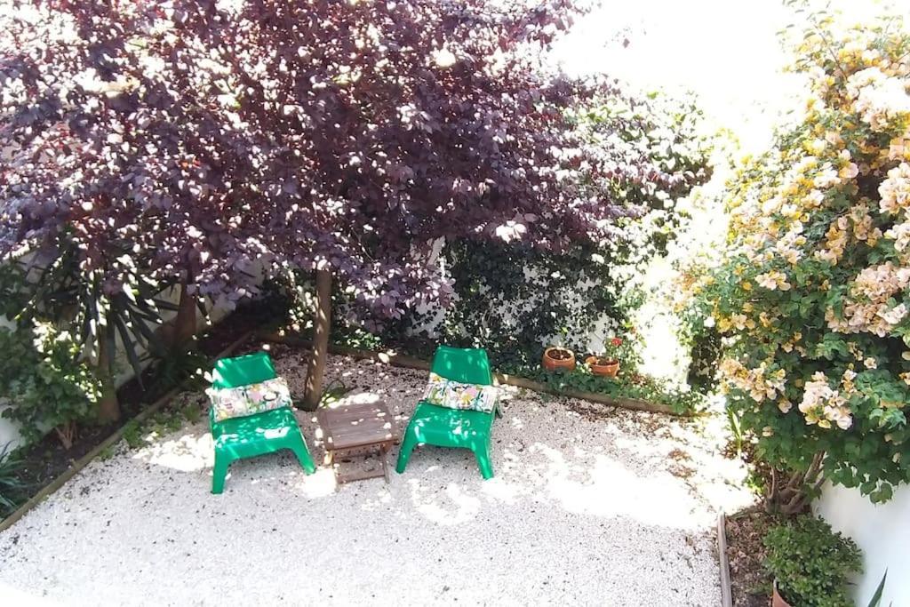 Apartment With Private Garden - Location
