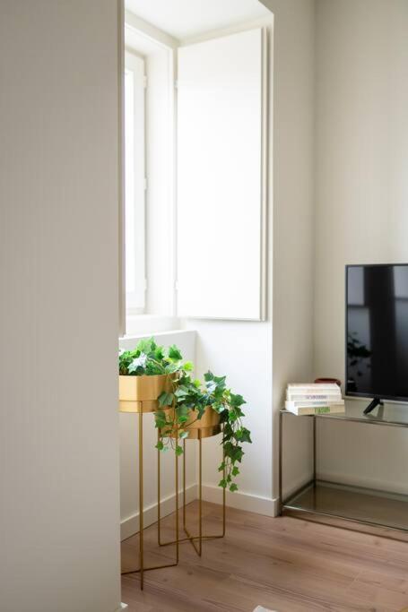 Pardal 1a - Boutique 2 Bed Appartement