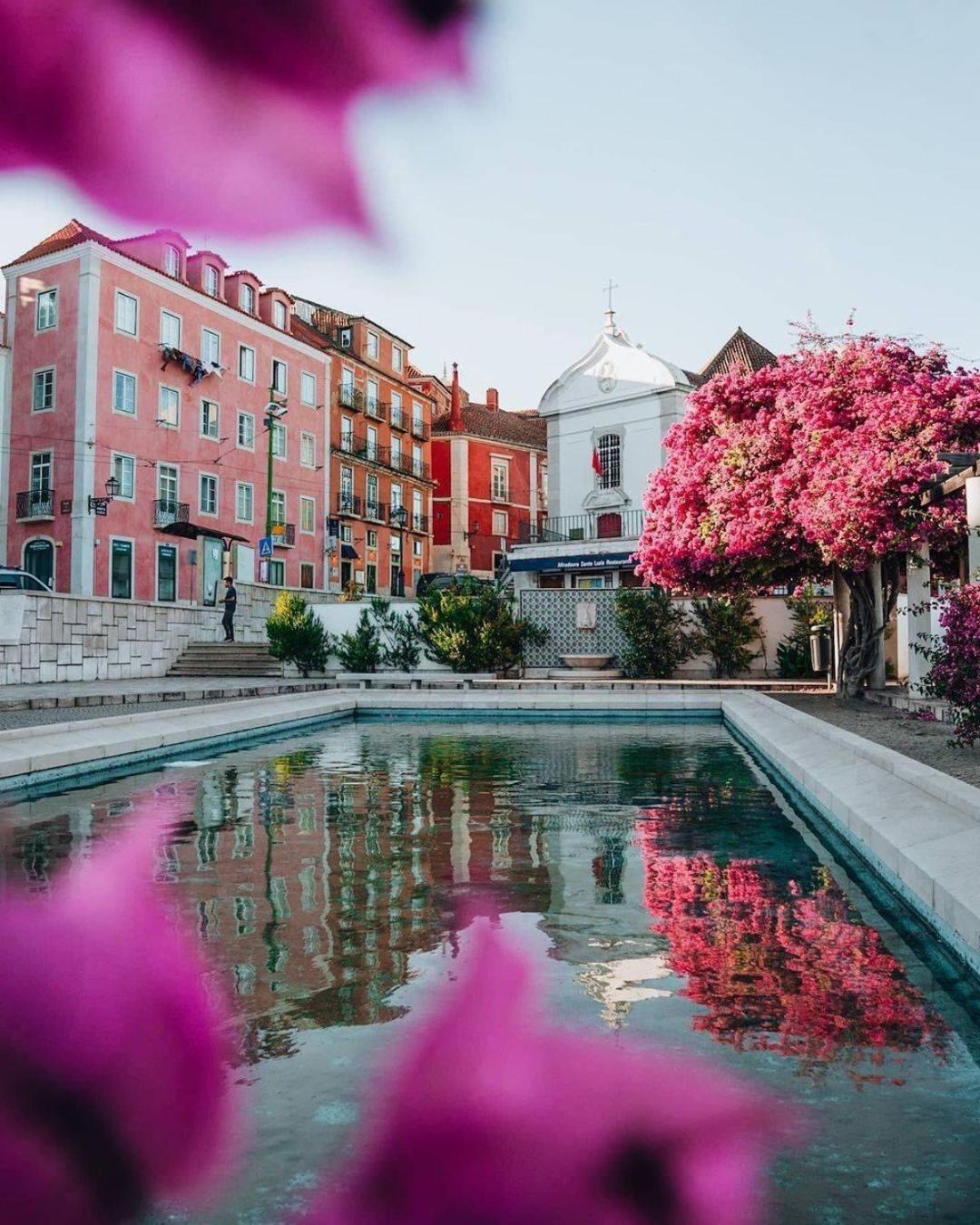 Alfama Historical 3 Bedroom Duplex