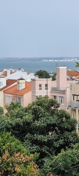 Séjour chez l'habitant Coliving In Center Long-term