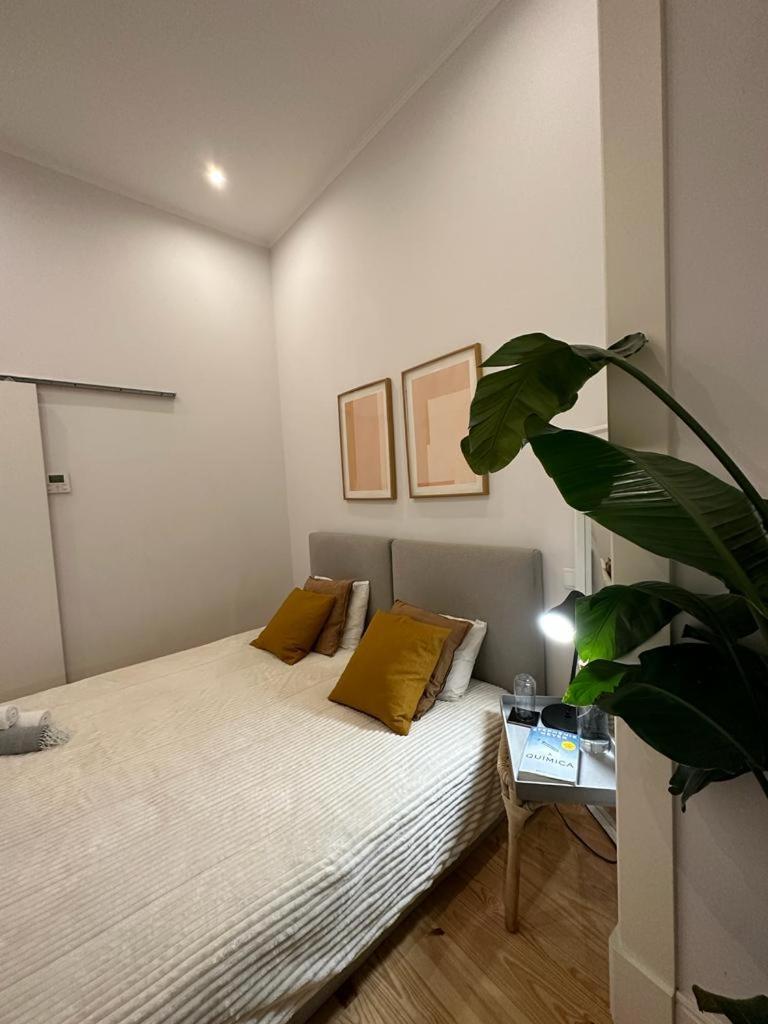 Apartamento Agradavel No Centro Historico De Appartement
