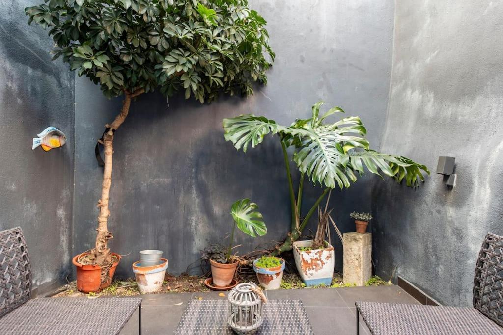 Patio * Lisboa