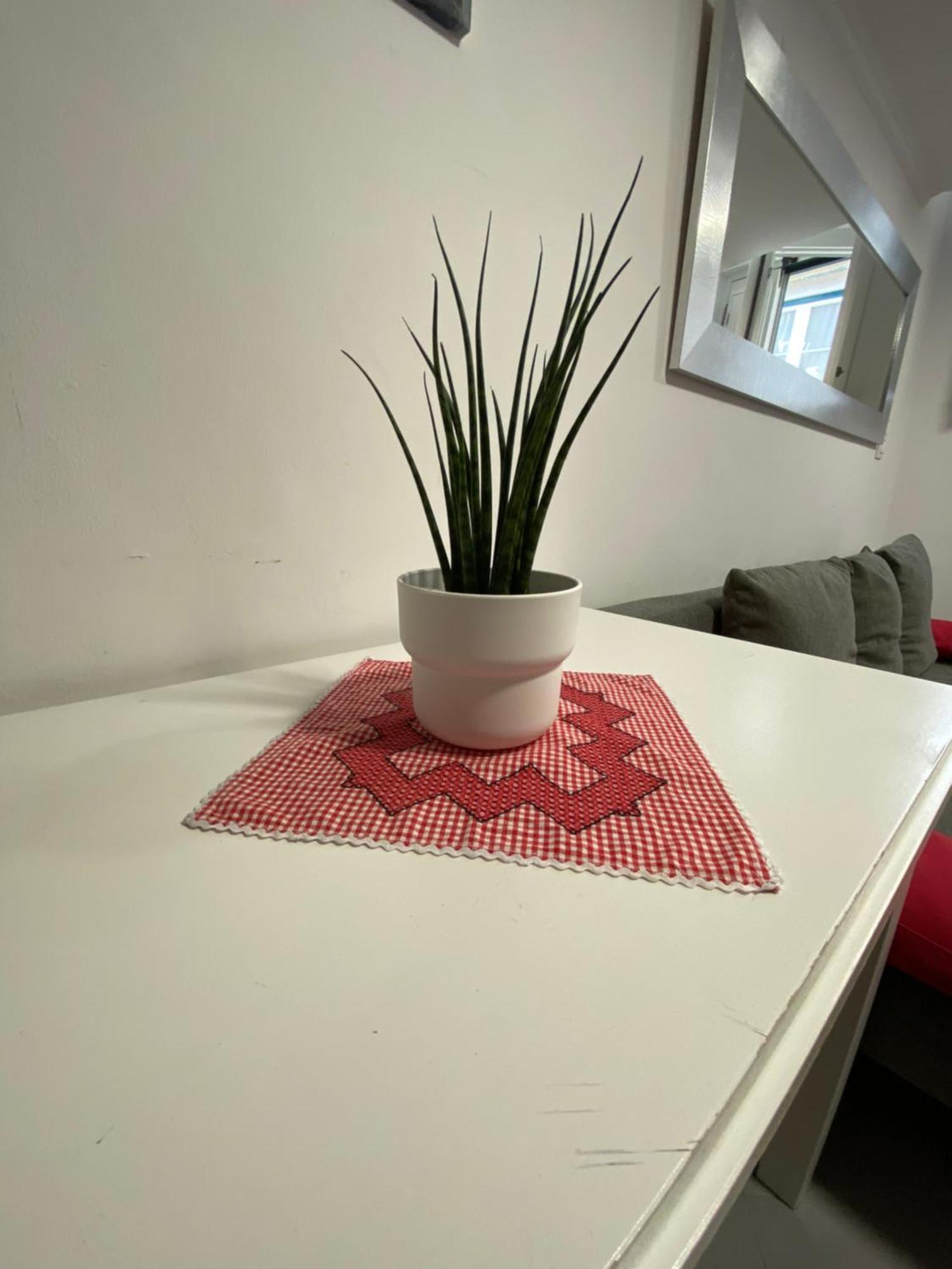 Appartement Charm Of Ii *