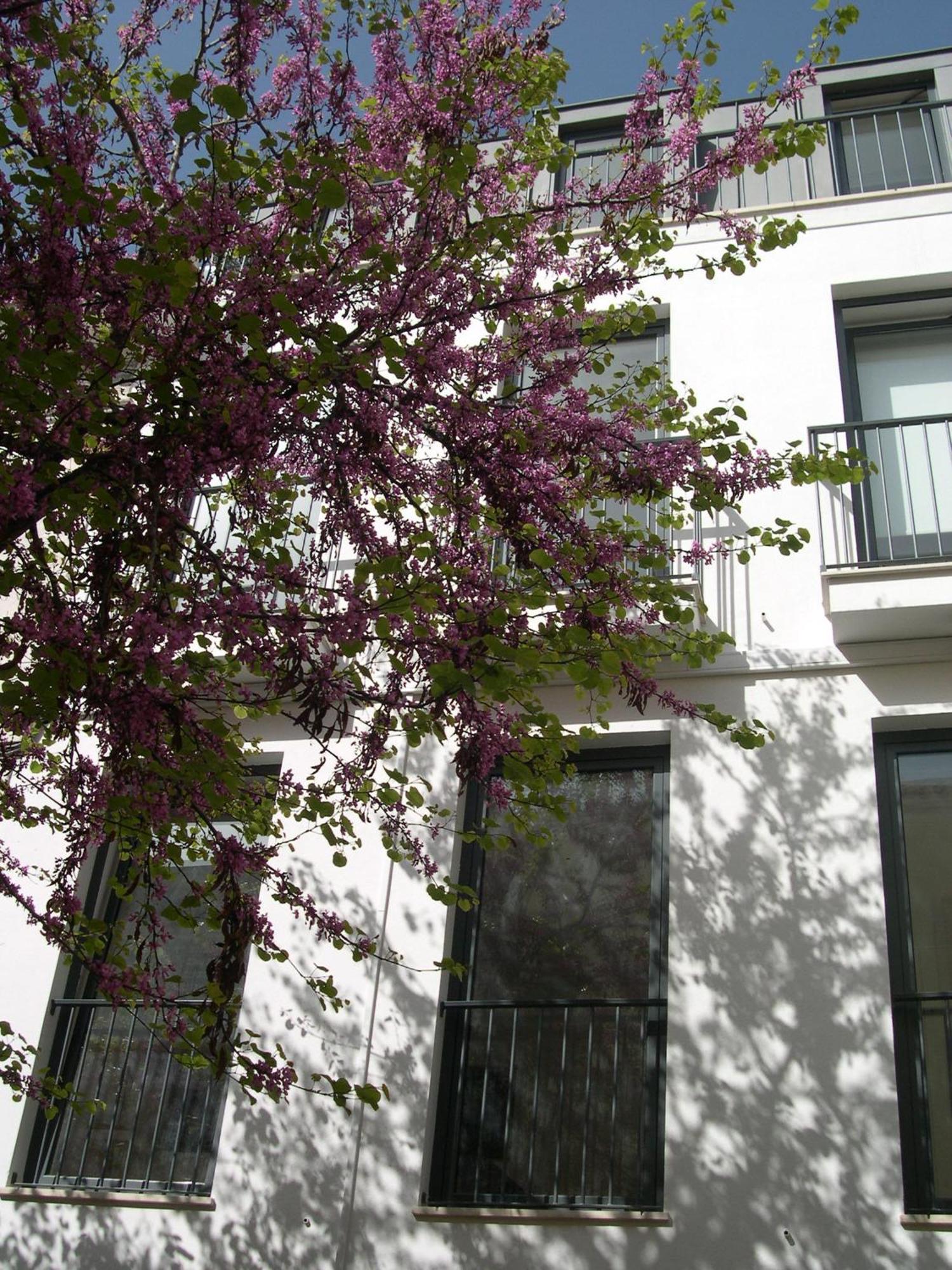 Orange 3 House - Chiado