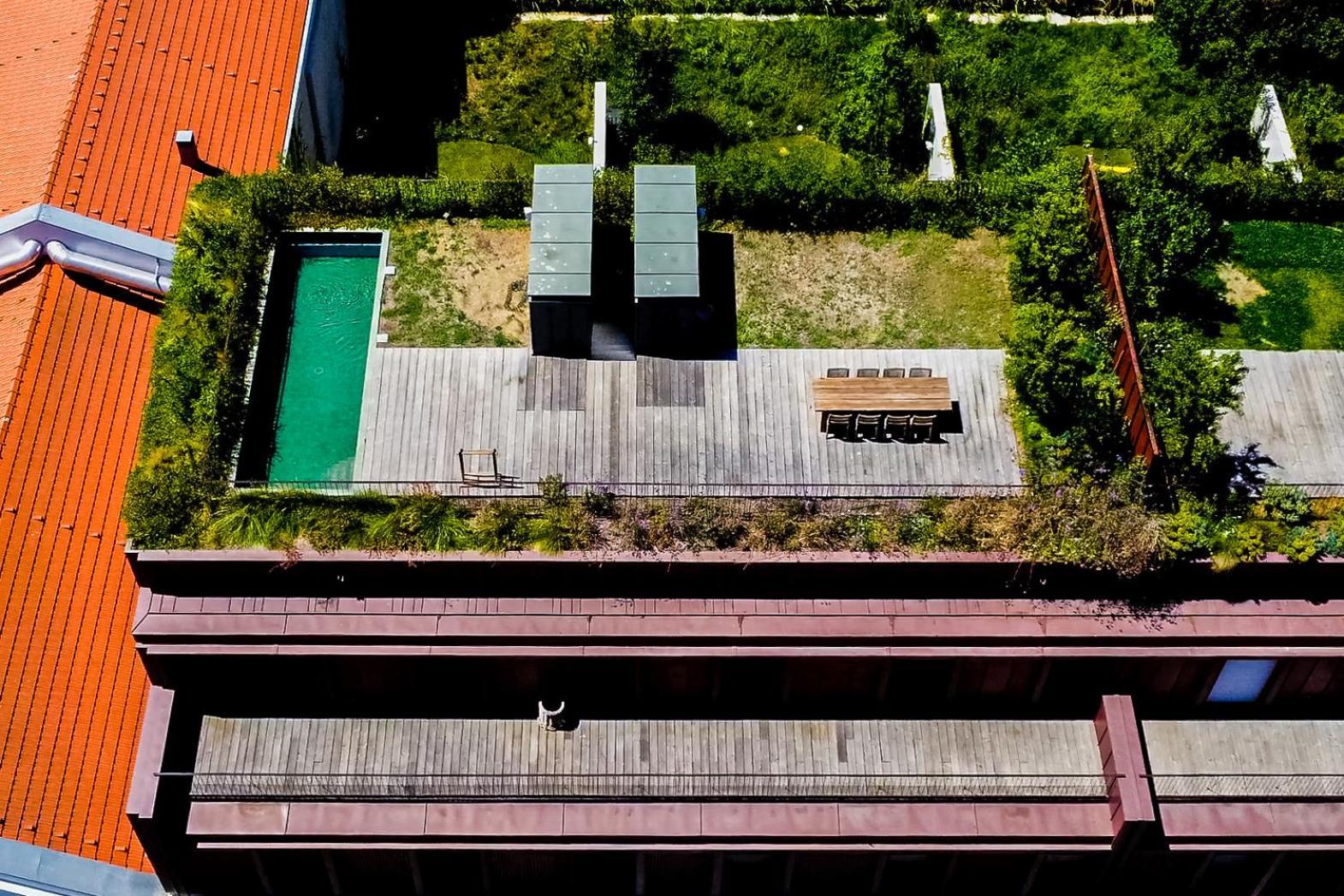 Jungle Lofts * Lissabon