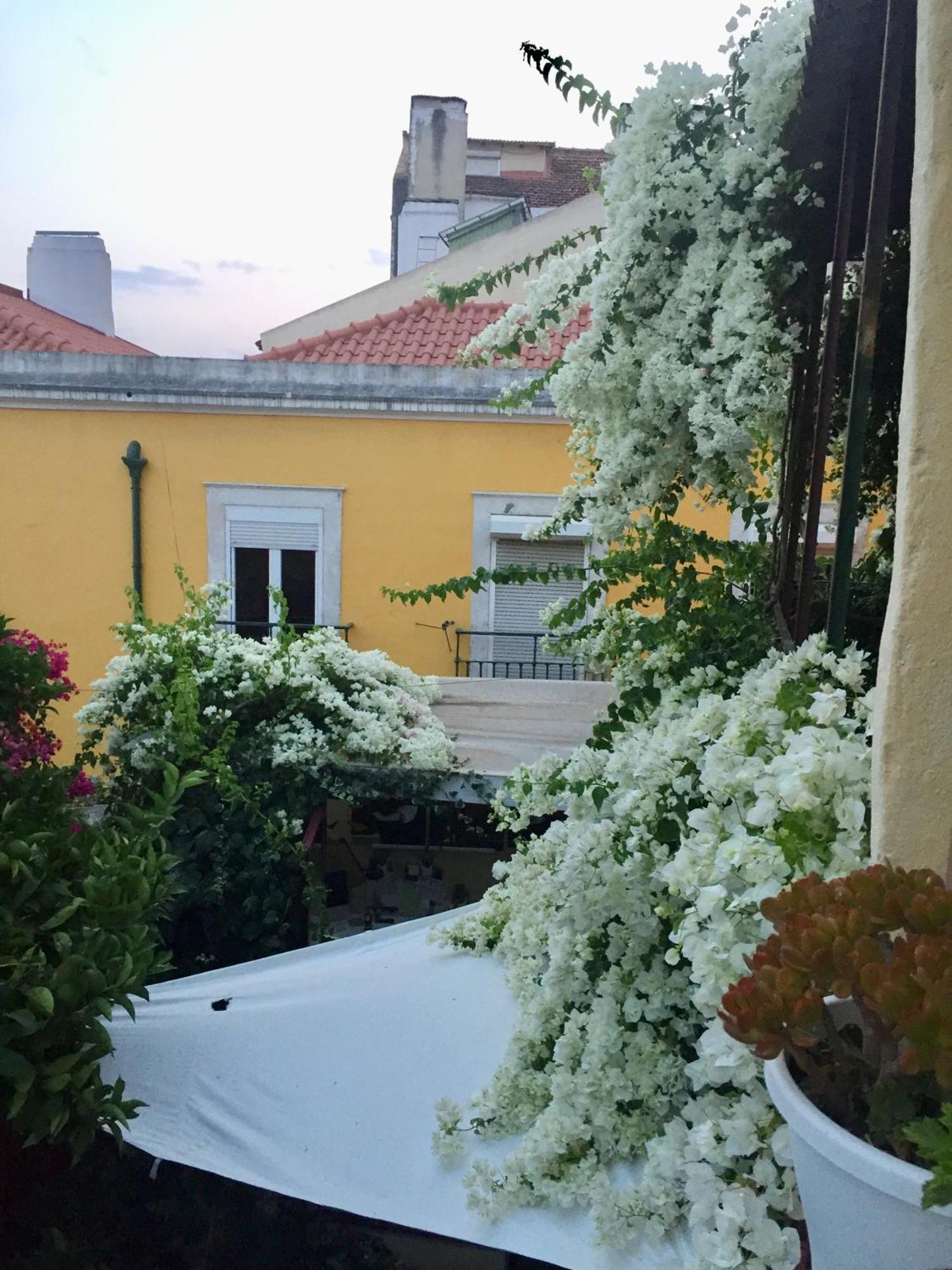 Unique Appartement