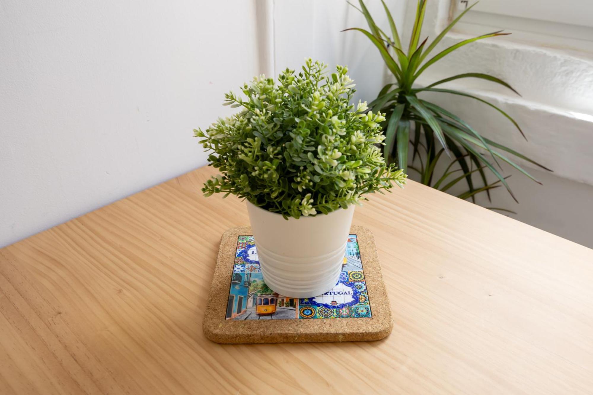 Alfama Valle Apartment