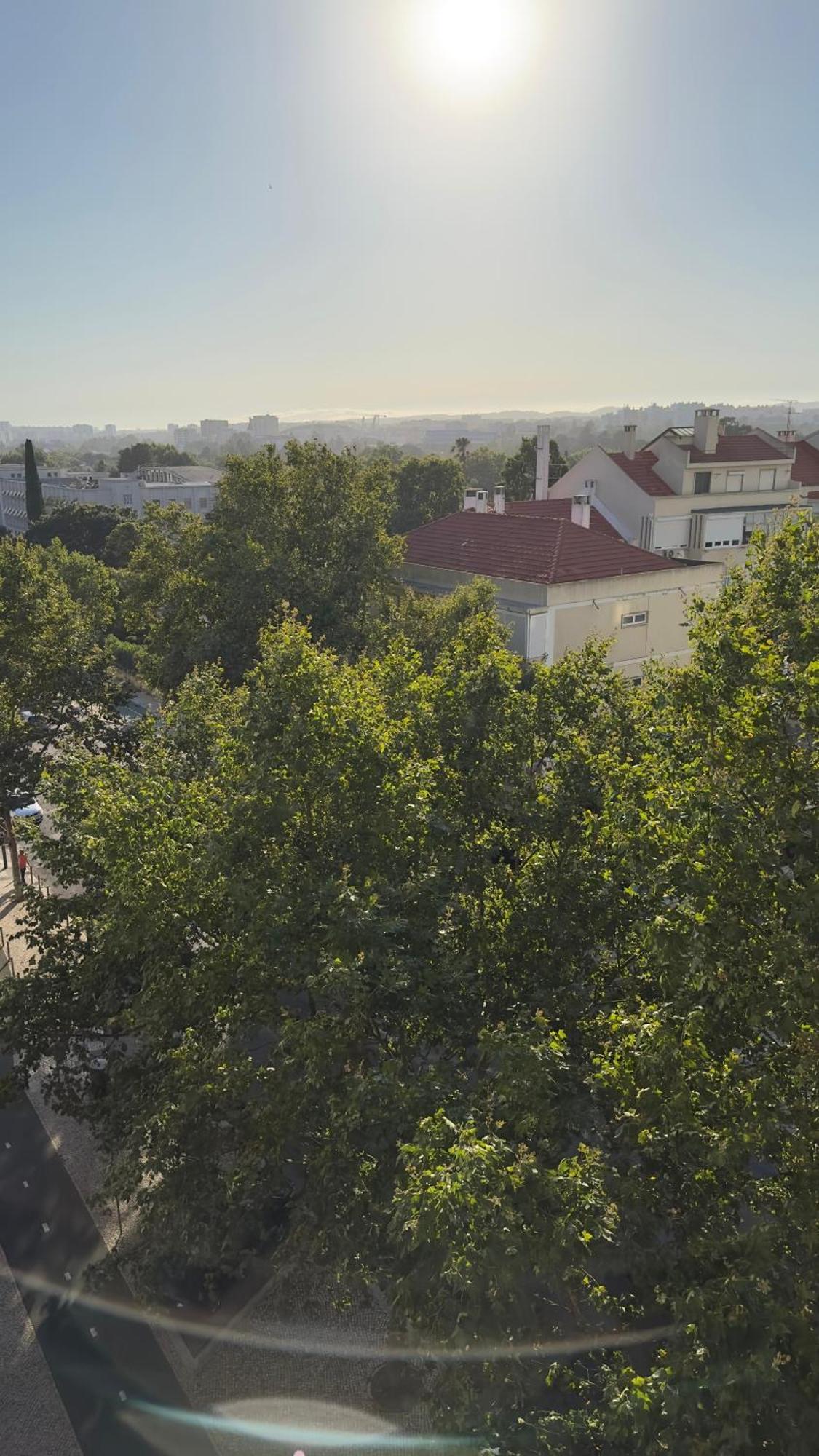 Appartement Alvalade *