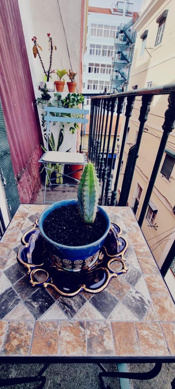 Charming To Rent * Lissabon