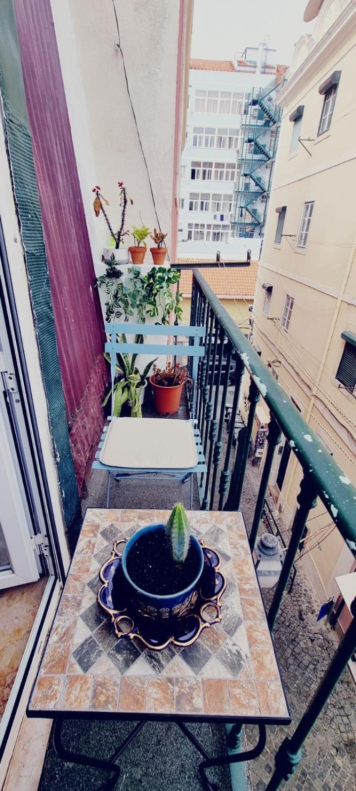Charming To Rent Apartment
