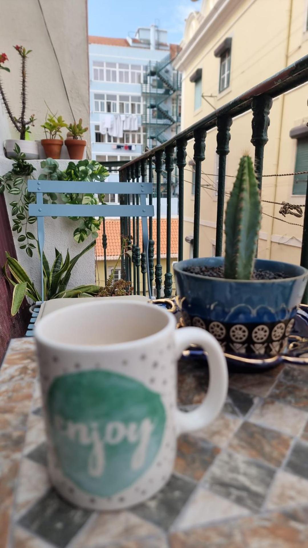 Charming To Rent Apartment *