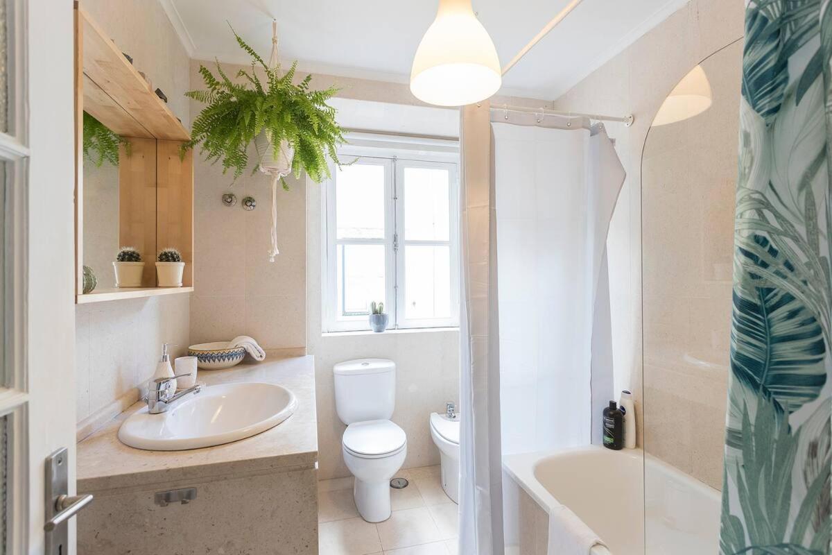 Apartment Plant House Baixa