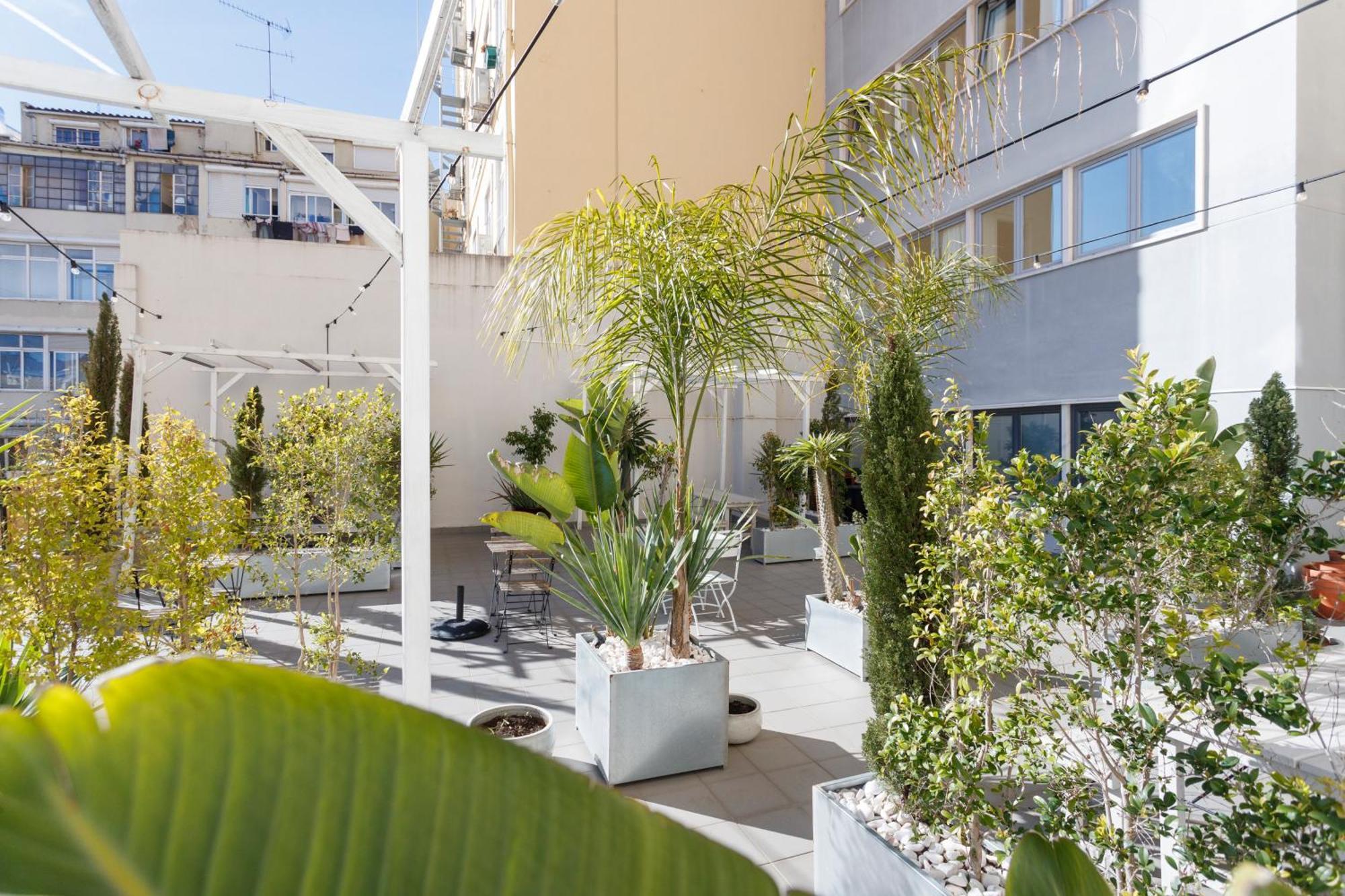 Martini Nest By Misha's Place 6a Appartement