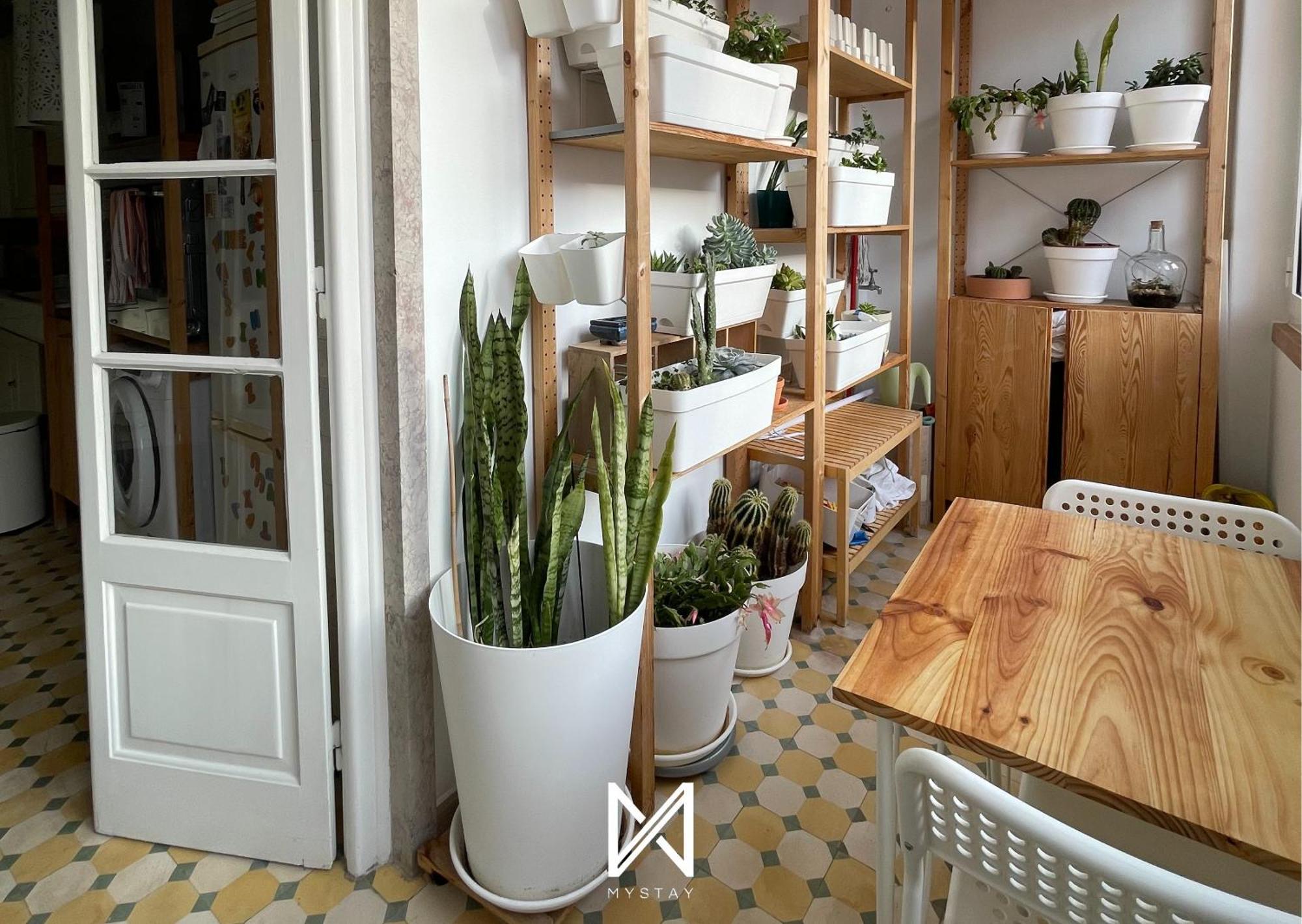 Accommodatie bij particulieren That Place For U - Vintage Lissabon