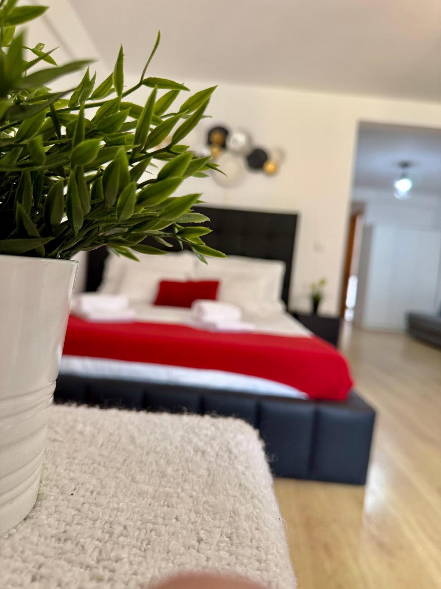 Appartement Helle Und Gemuetliche Im Zentrum
