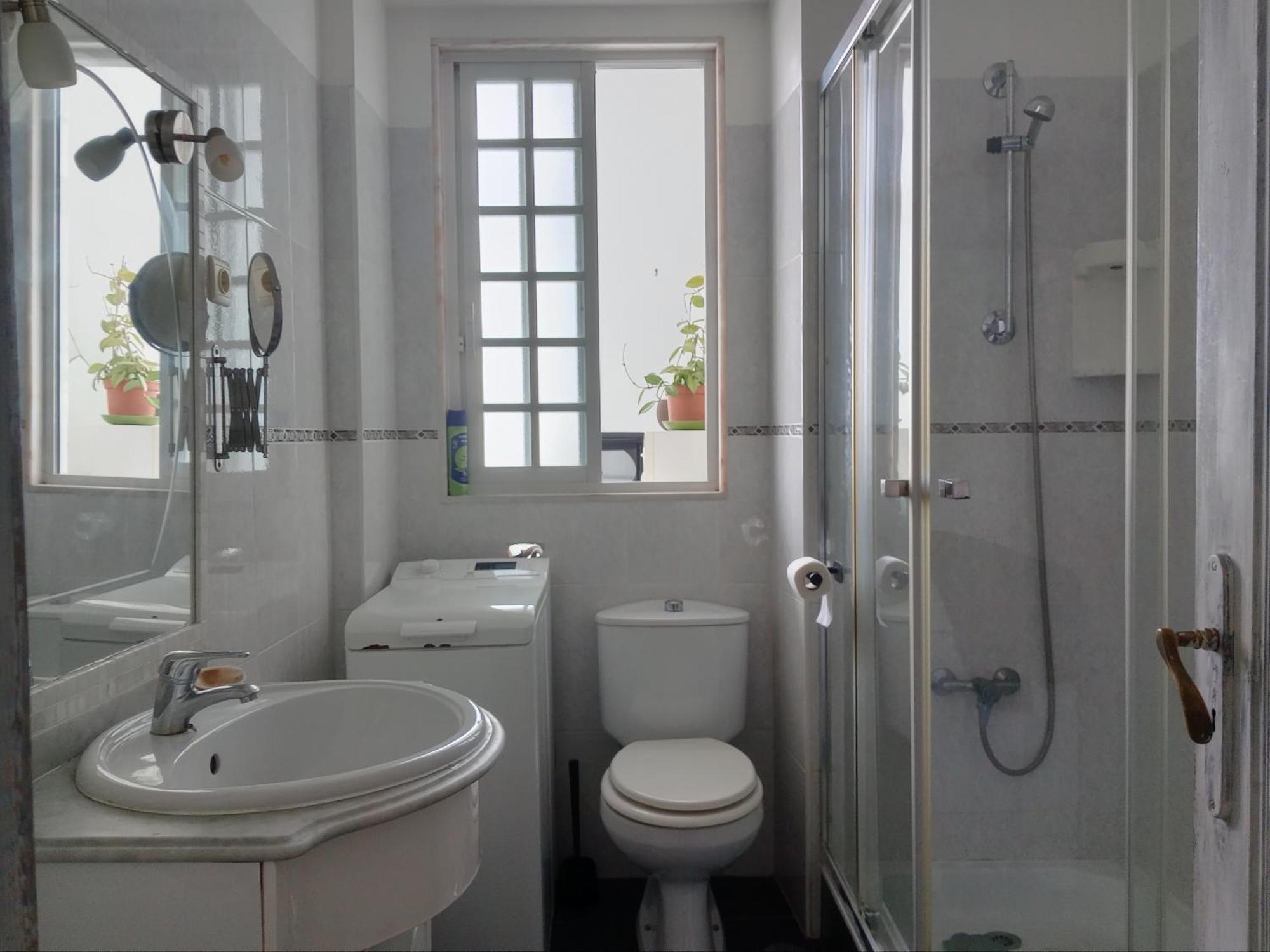 Appartement Historical Flat Design *