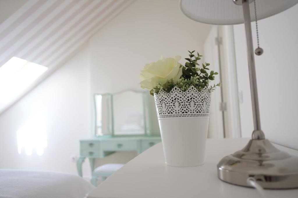 Appartement Madalena Hermitage