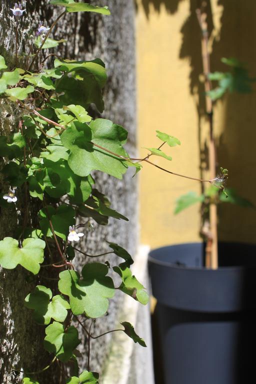 Hostel G&b - Hostel&wines Lissabon