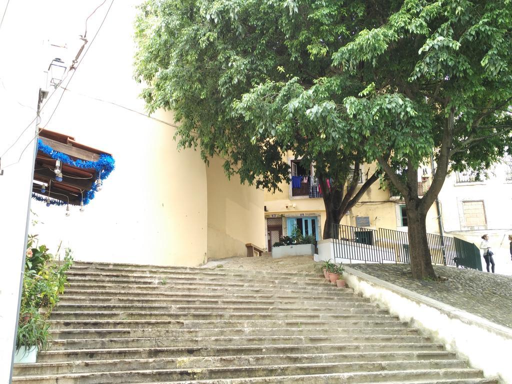 Appartement Jasmim