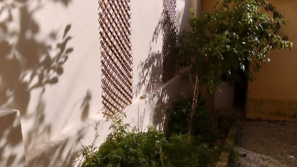 Casa Do Jasmim Séjour chez l'habitant Lisboa