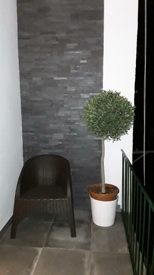 Appartement Shades Of Grey - *