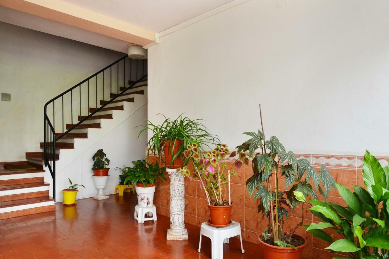 Encarnacao House Apartment *