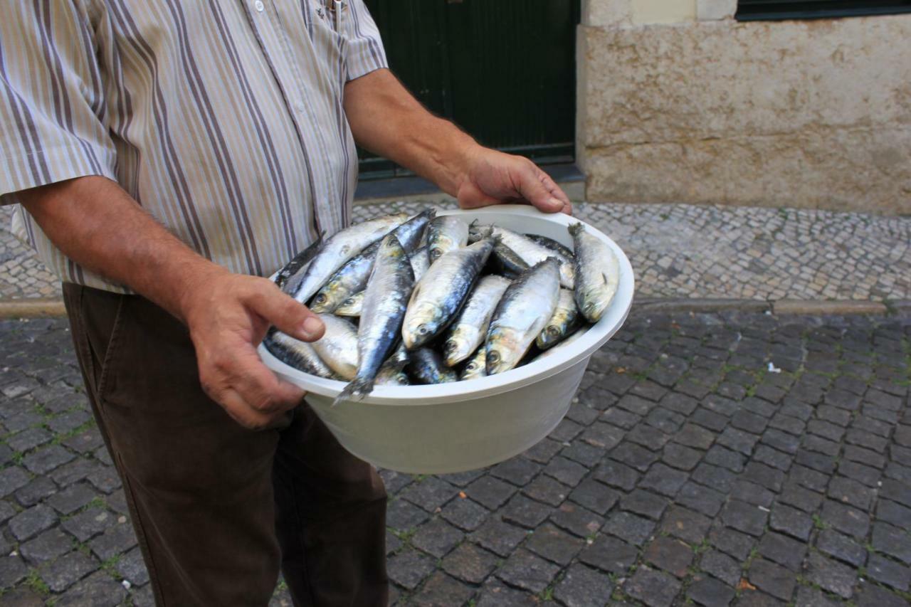 Little For Two-alfama