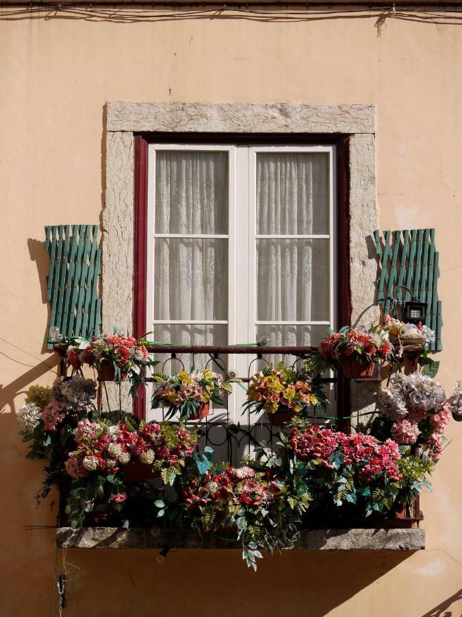 Séjour chez l'habitant Arroios De Paixao *
