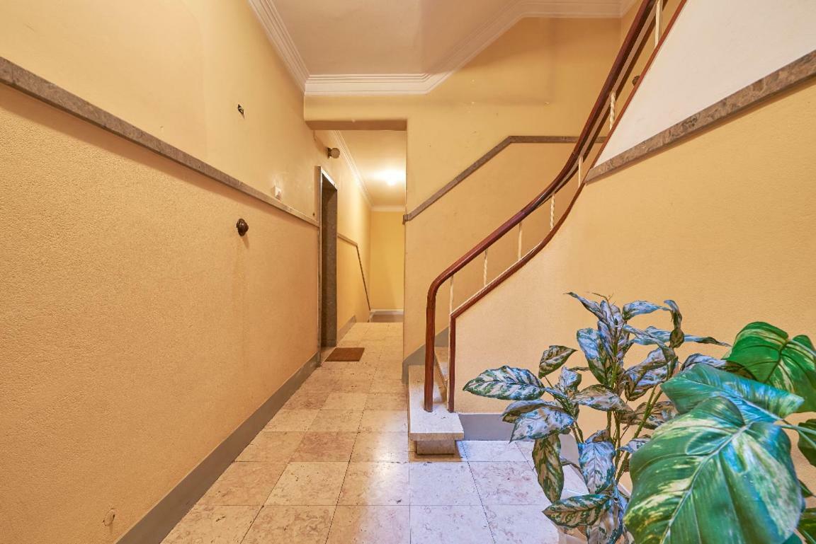 Paiva Cozy Lissabon