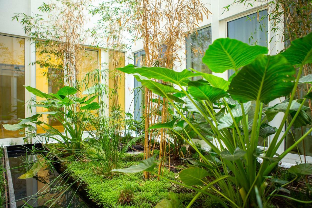 Whome | Ribeira 11 Design