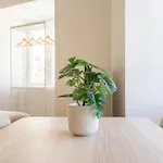 Beato Riverside Cozy Apartments
