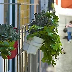 Duque\'S Apartments