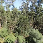 Treetops Lisbon Apartment