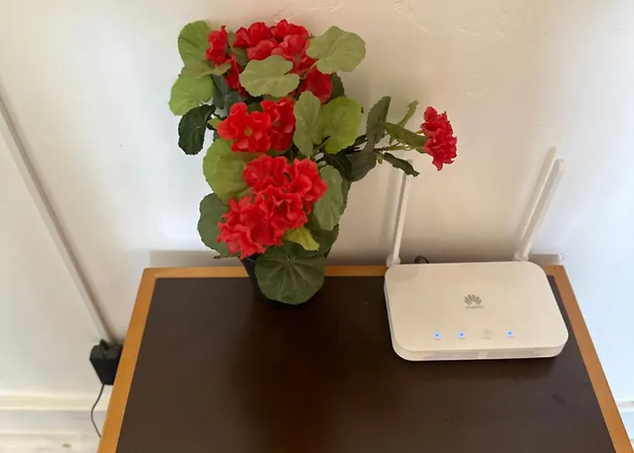 Rose view guest house