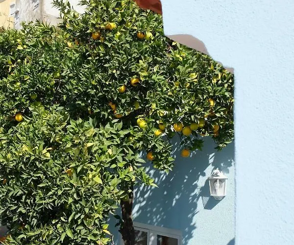 Proa D\'Alfama Guest House