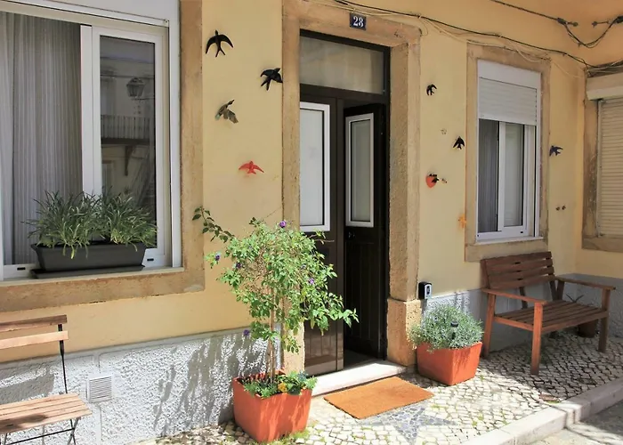The Back Street Nest