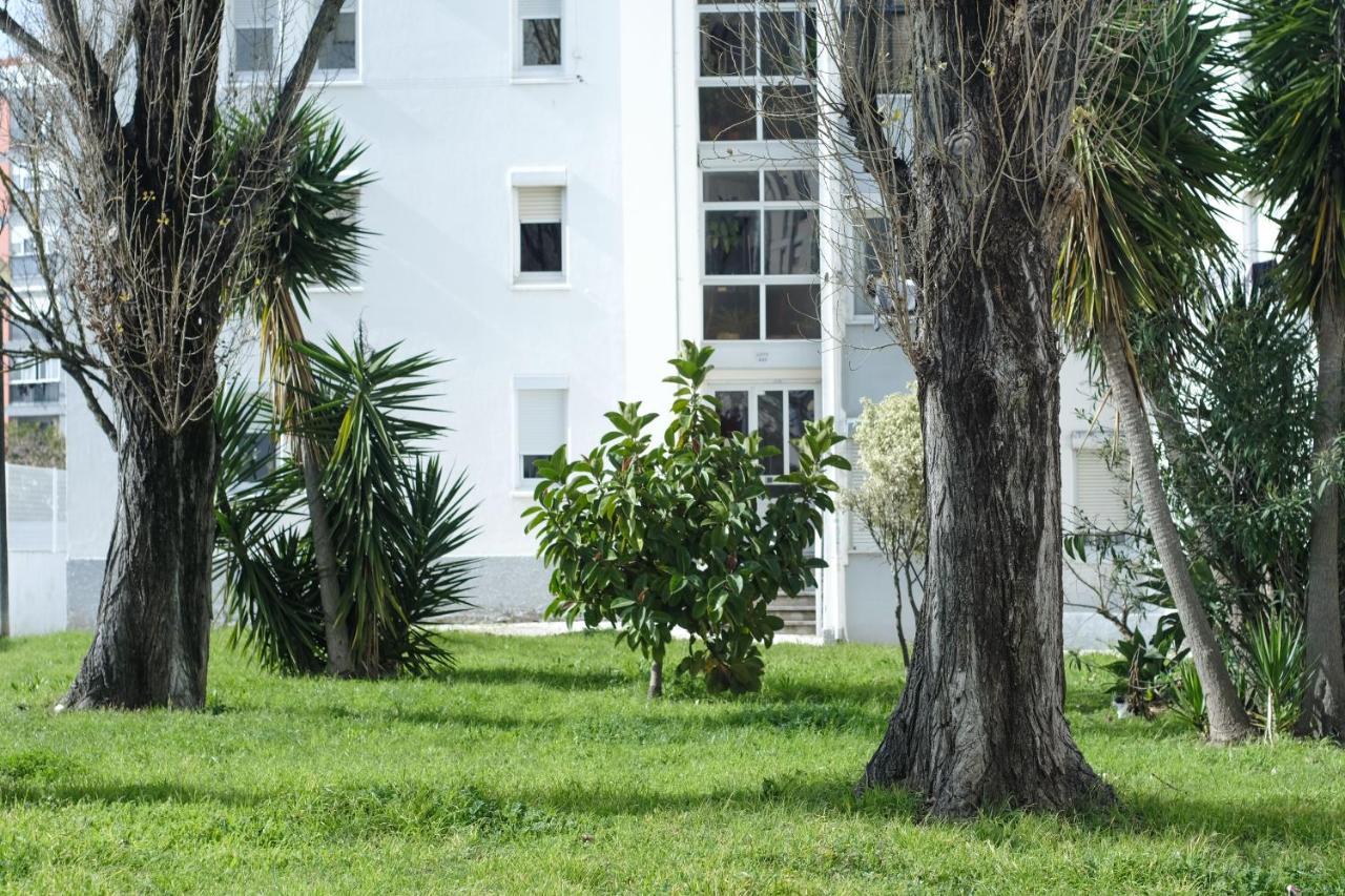 Olive Grove By Trip2portugal Appartement Lisboa