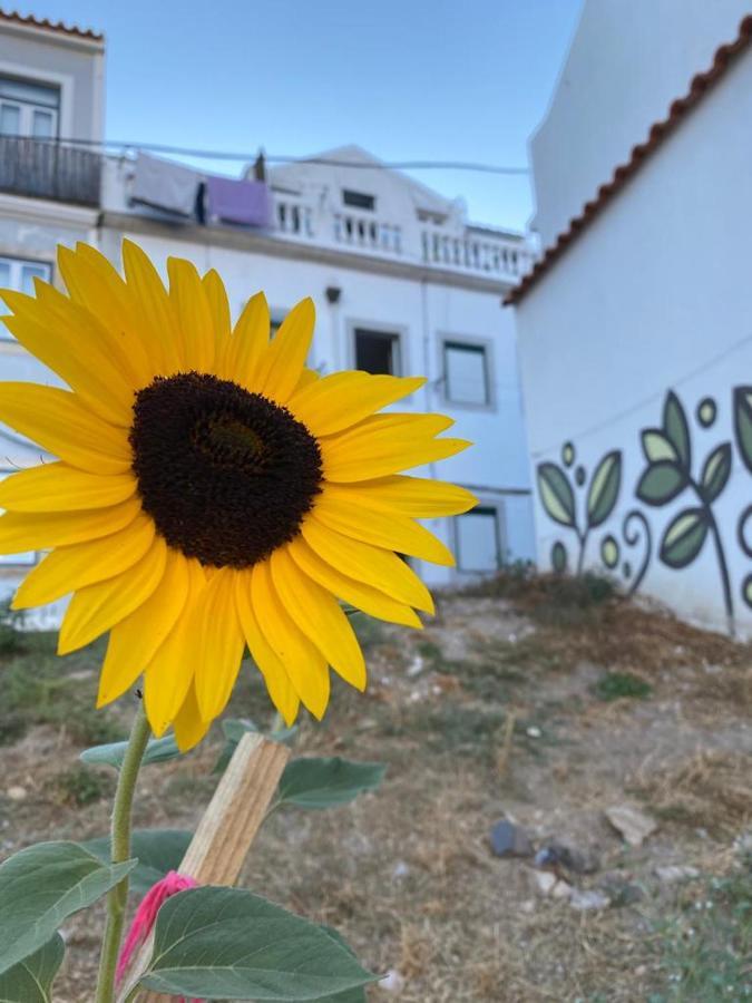 Apartamento The New Terrace *