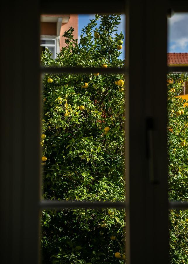 Appartement Sunny In The Heart Of Principe Real *