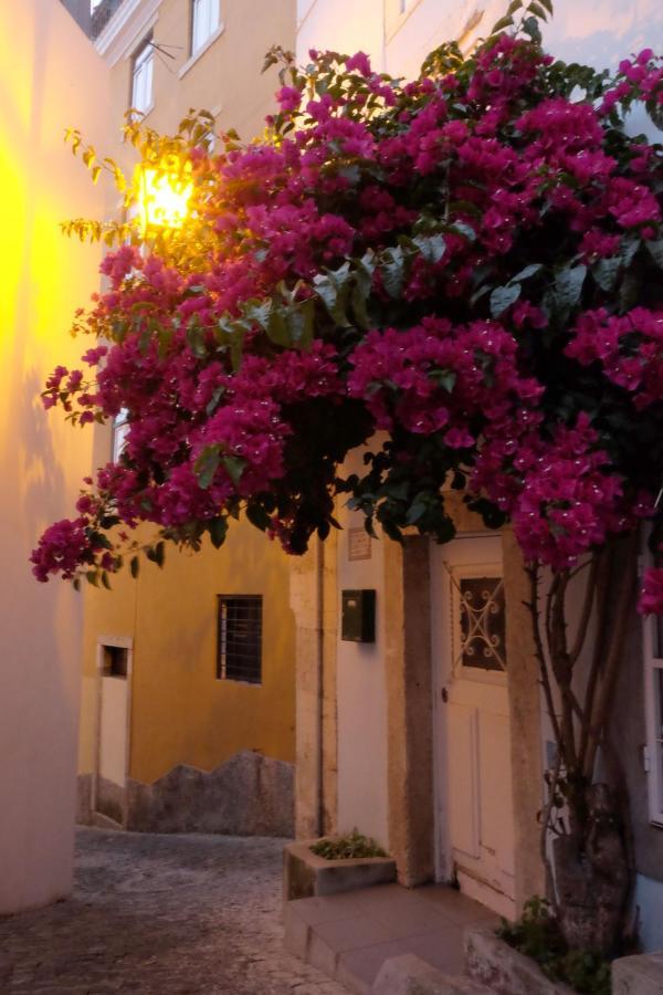 Appartement Proa D'alfama
